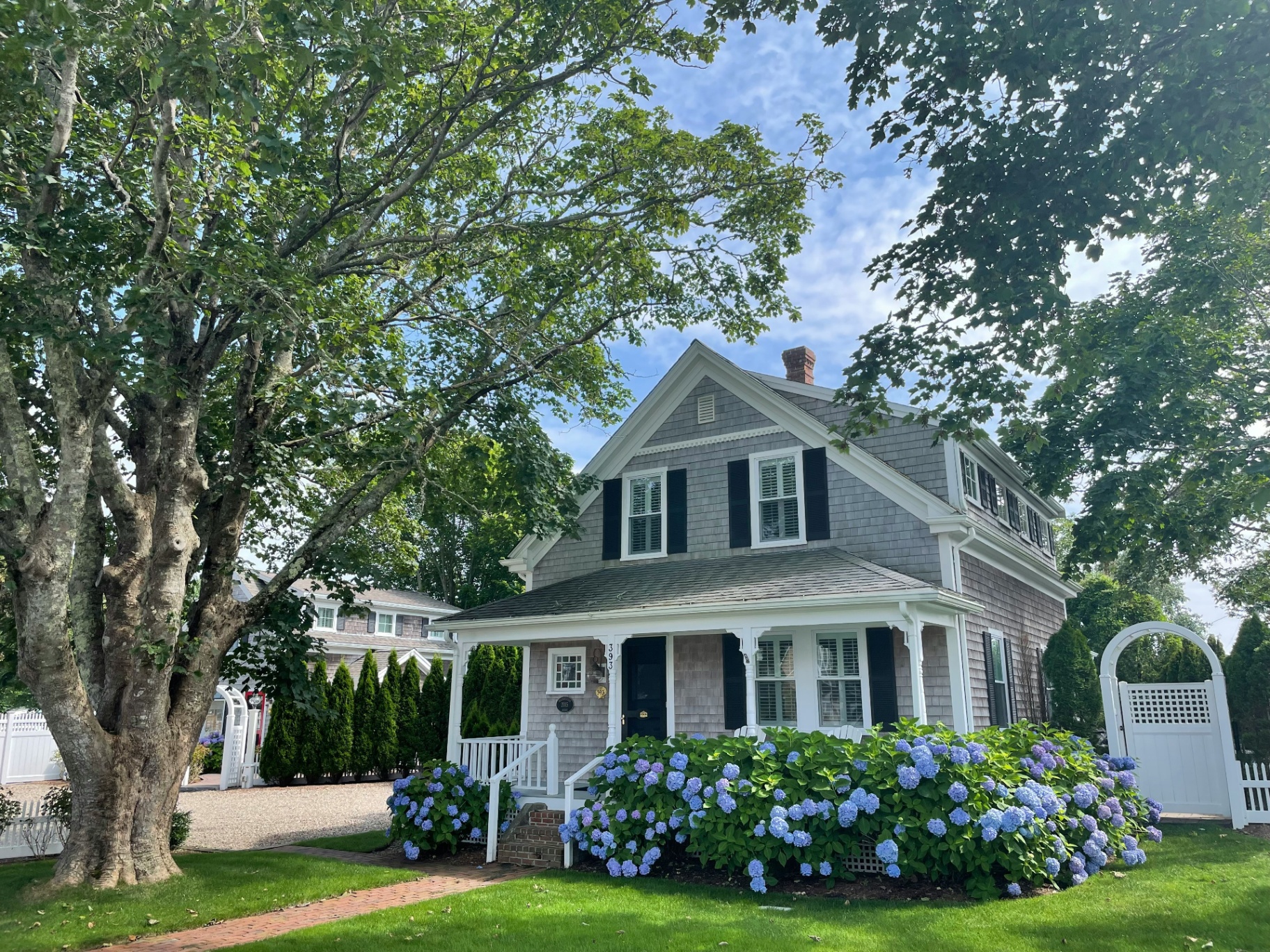 A classic shingled Cape Cod home framed by hydrangeas